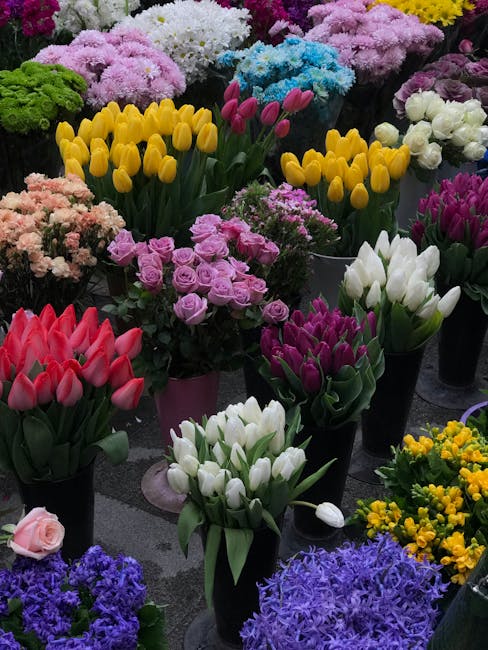 A vibrant display of various fresh flowers arranged in black and pink vases, including yellow tulips, pink tulips, white tulips, purple roses, pink roses, light pink carnations, purple hyacinths, and 